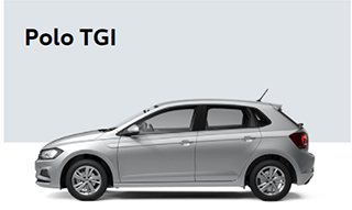 offerte polo metano verona vicenza